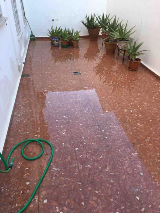 Casa Soleada En Calle Tranquila 塞维利亚 外观 照片
