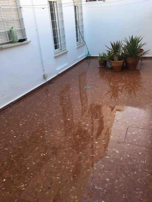 Casa Soleada En Calle Tranquila 塞维利亚 外观 照片