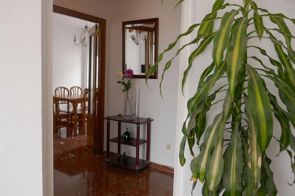 Casa Soleada En Calle Tranquila 塞维利亚 外观 照片